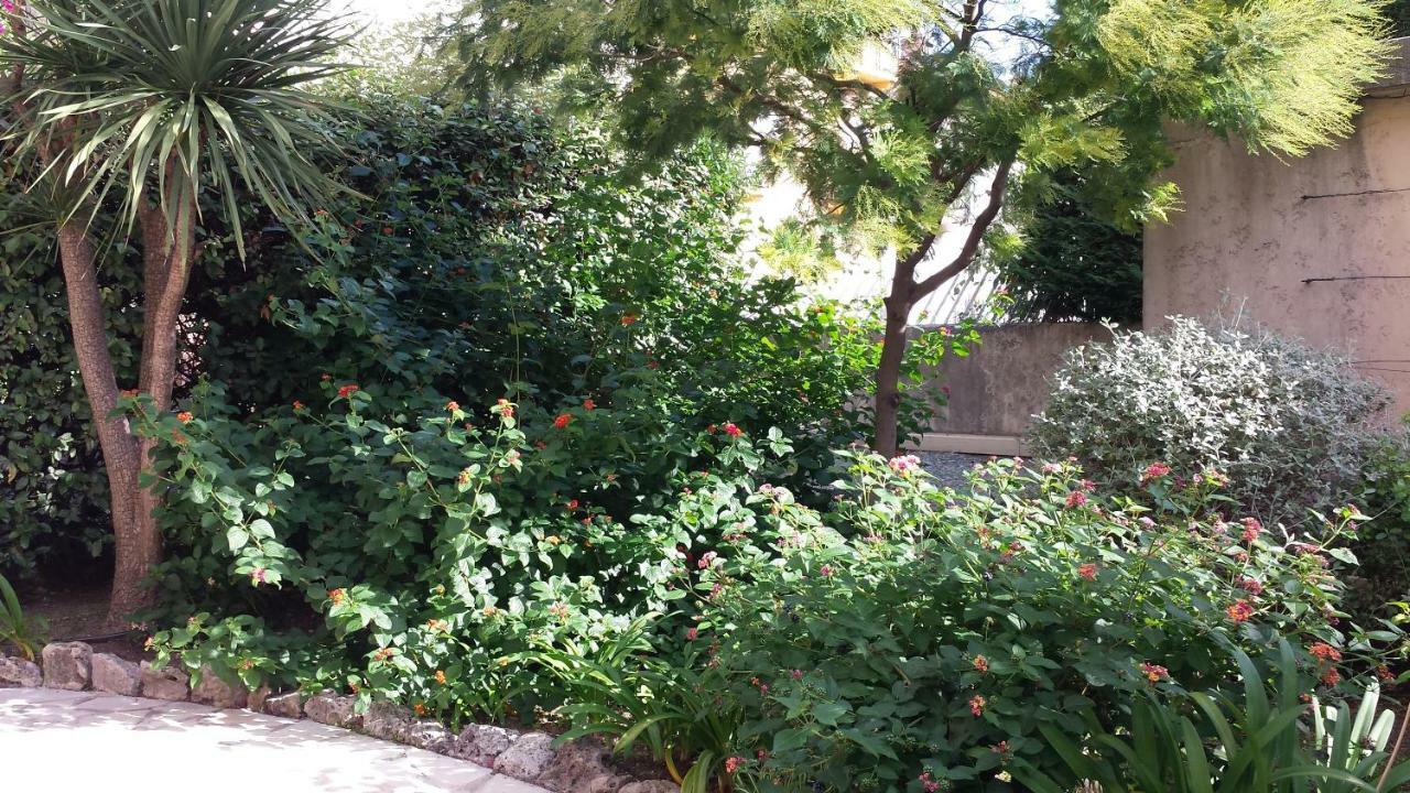 Central Avec Jardin カンヌ エクステリア 写真